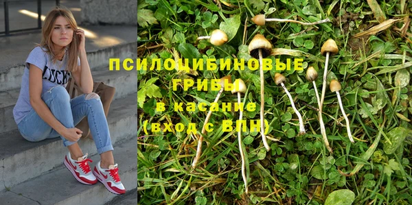 ГАЛЛЮЦИНОГЕННЫЕ ГРИБЫ Абинск