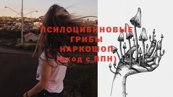 spice Алексеевка
