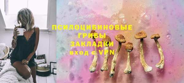 стаф Абдулино