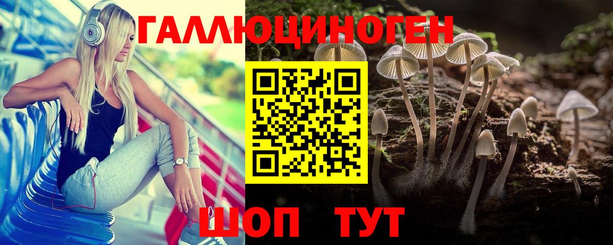 Галлюциногенные грибы мицелий  Псилоцибиновые грибы Psilocybe  Вход с VPN  Омск 